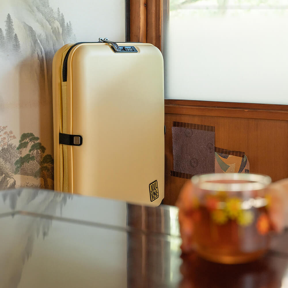 PEBBLE 20インチLite 折り畳み式スーツケース(35L)